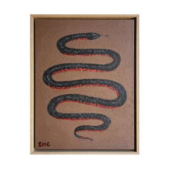 ERIN COLLINS Red-bellied black snake