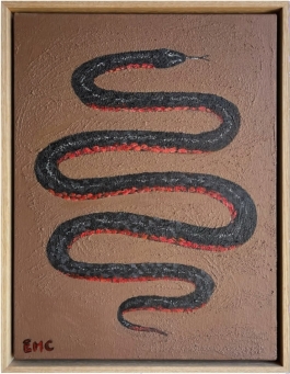 ERIN COLLINS Red-bellied black snake - 3