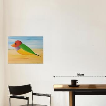 JOHN GRAHAM Gouldian Finch - 2