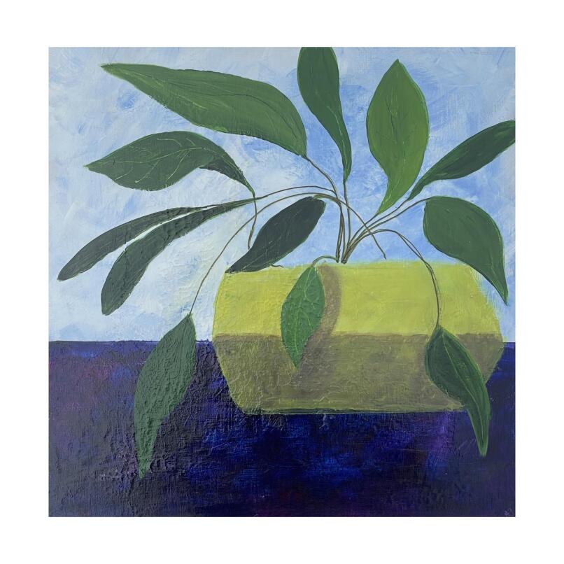 ALLISON JOHNSON Sunshine Indoors