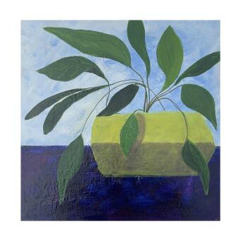 ALLISON JOHNSON Sunshine Indoors