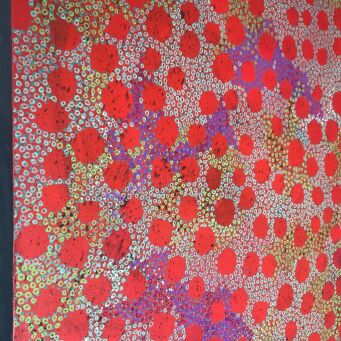JENNIFER BELL Road Through the Desert Fairy Circles - 4