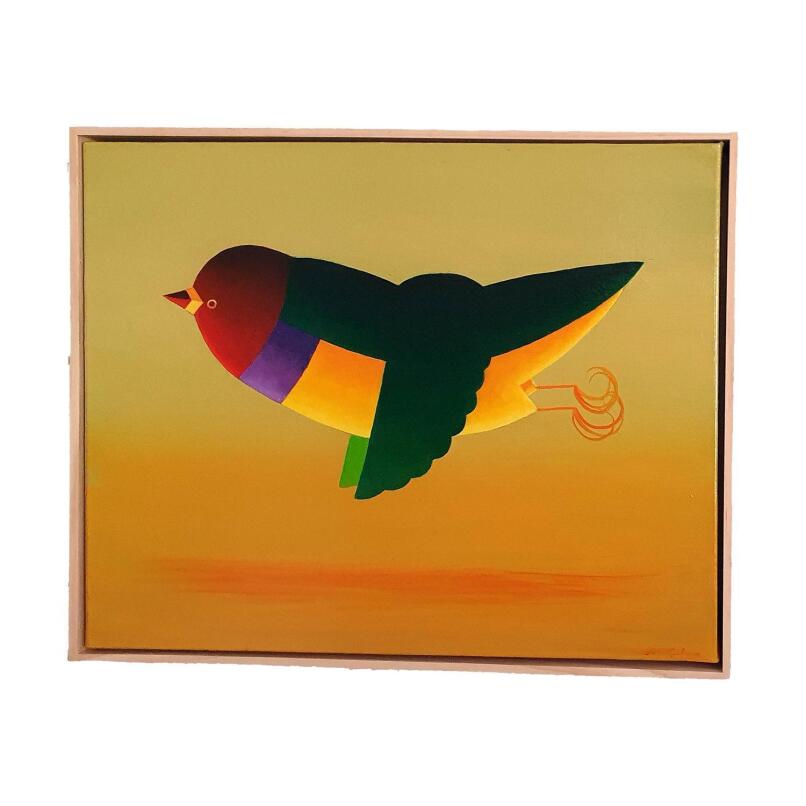 JOHN GRAHAM Gouldian finch over red desert