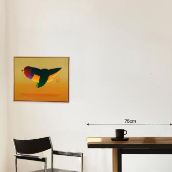 JOHN GRAHAM Gouldian finch over red desert - 2