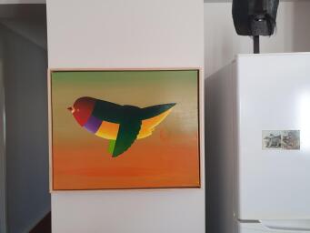 JOHN GRAHAM Gouldian finch over red desert - 4