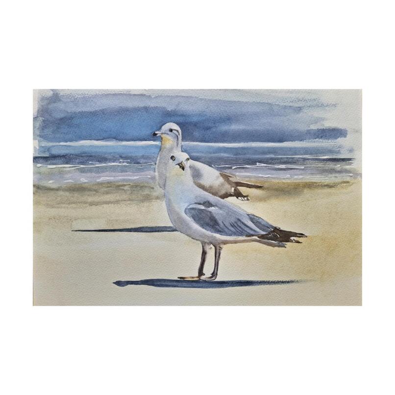 NATALIE K Seagull Friends