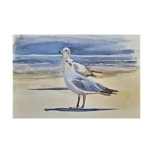 NATALIE K Seagull Friends