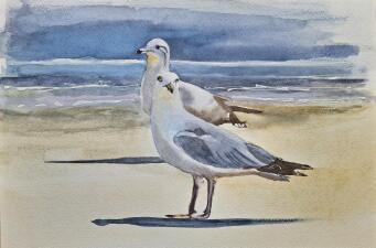 NATALIE K Seagull Friends - 3