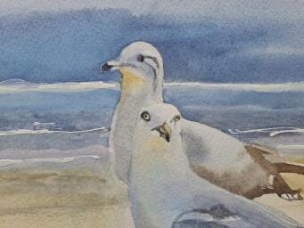 NATALIE K Seagull Friends - 4