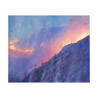 SHANON BRADBURN The after burn