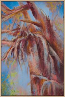 CASSANDRA DOVE The Paperbark Queen - 5