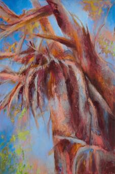 CASSANDRA DOVE The Paperbark Queen - 7