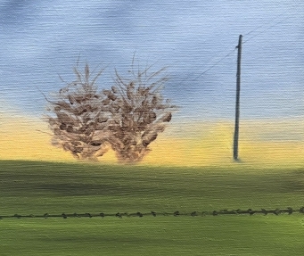 PAULA MACKAY Winter Morning - 4