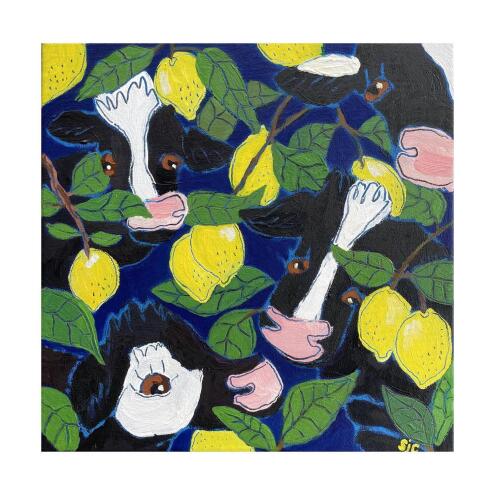 SARAH CAMPBELL Citrus Season