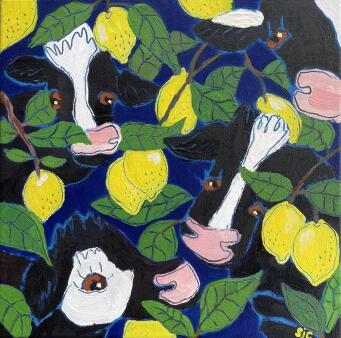 SARAH CAMPBELL Citrus Season - 3