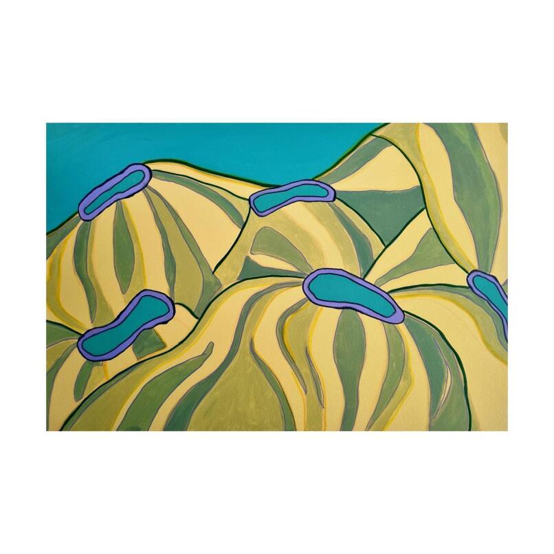 SAM MYERS Reef