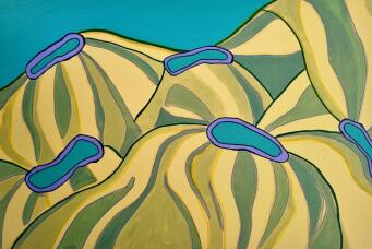 SAM MYERS Reef - 4