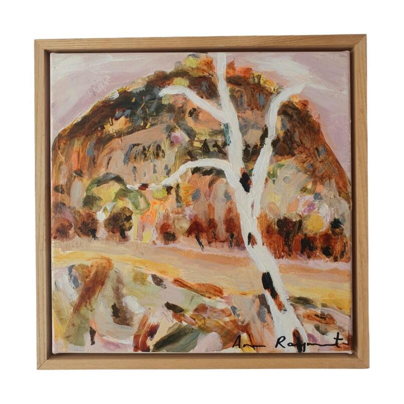 ANN RAYMENT Larapinta 7