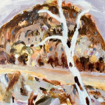 ANN RAYMENT Larapinta 7 - 4